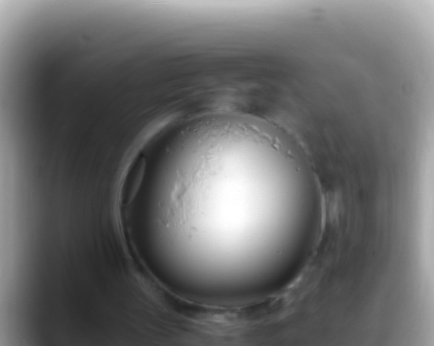 X0000088660147200706011246