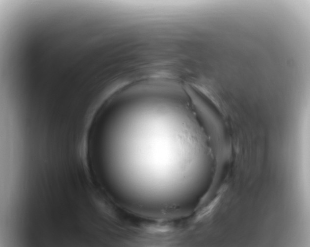 X0000088660148200706011246