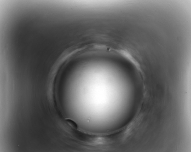 X0000088660151200706011246