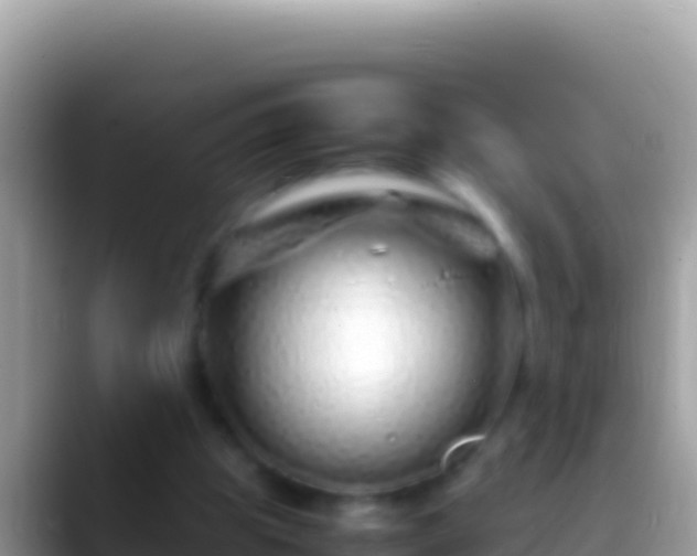 X0000088660153200706011246