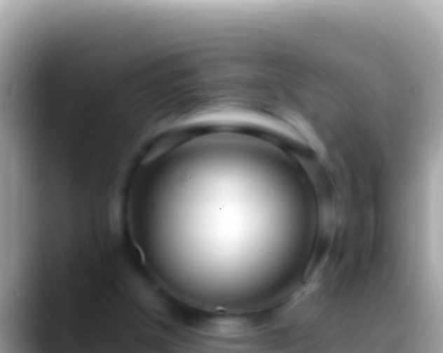 X0000088660154200706011246