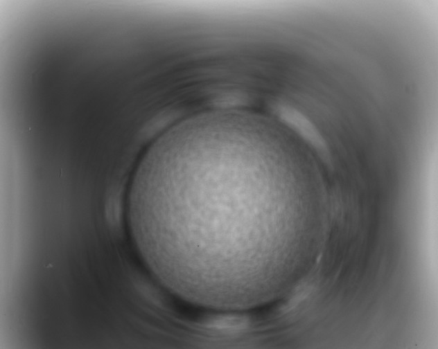 X0000088660155200706011246