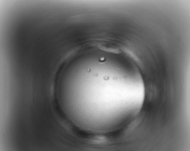 X0000088660159200706011246