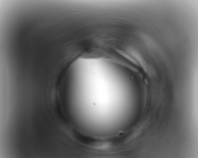 X0000088660161200706011246