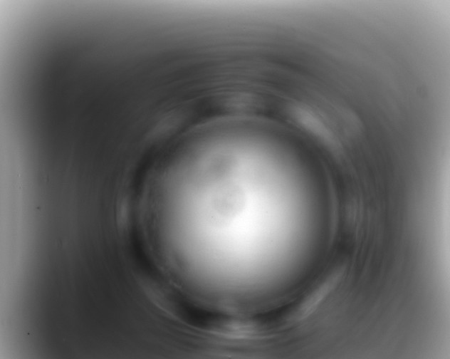 X0000088660165200706011246