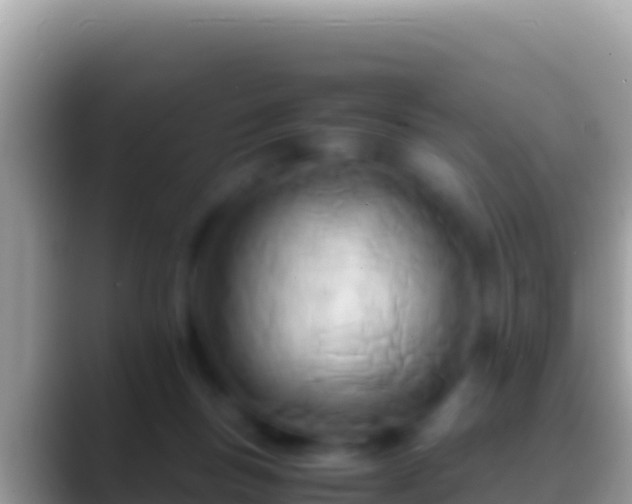 X0000088660167200706011246