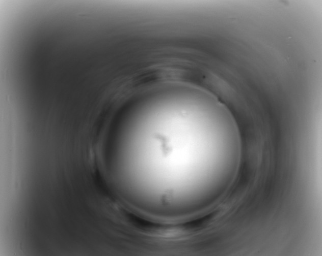 X0000088660169200706011246