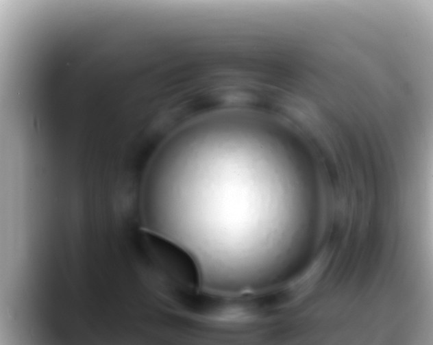 X0000088660175200706011246