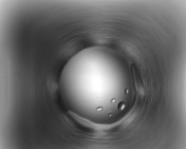 X0000088660176200706011246