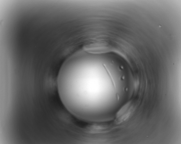 X0000088660180200706011246