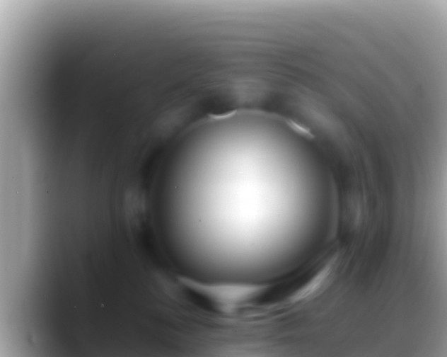 X0000088660184200706011246