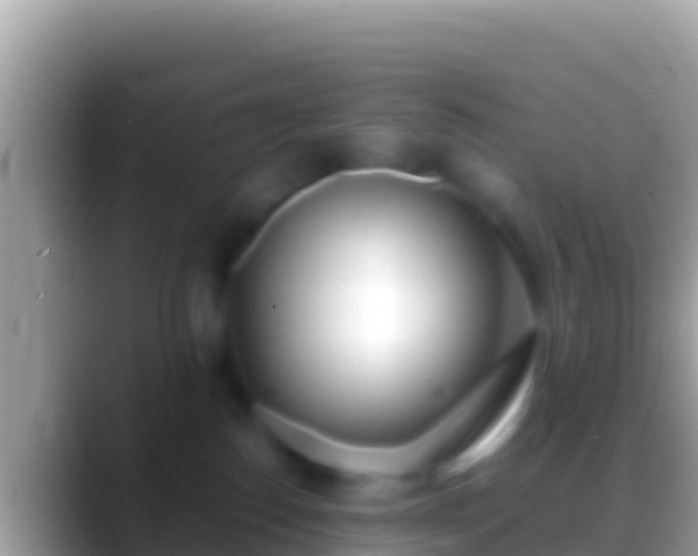 X0000088660186200706011246