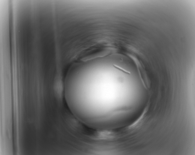 X0000088660192200706011246