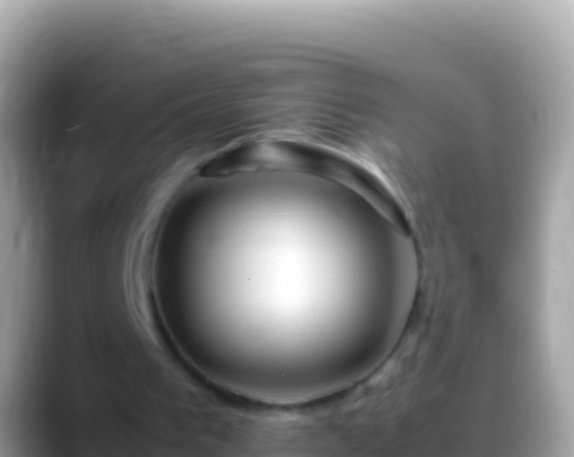 X0000088660193200706011246