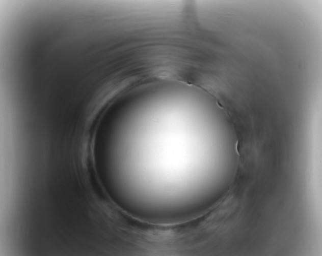 X0000088660194200706011246