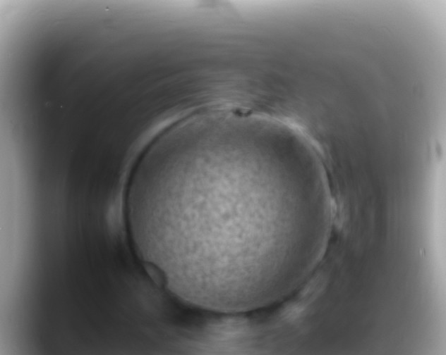 X0000088660196200706011246