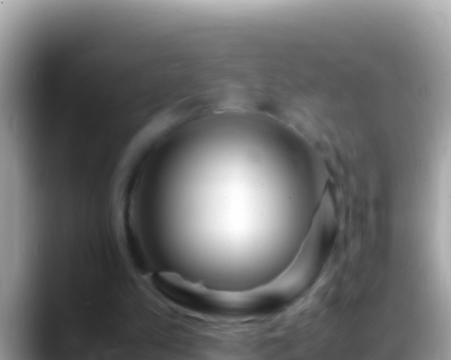 X0000088660197200706011246