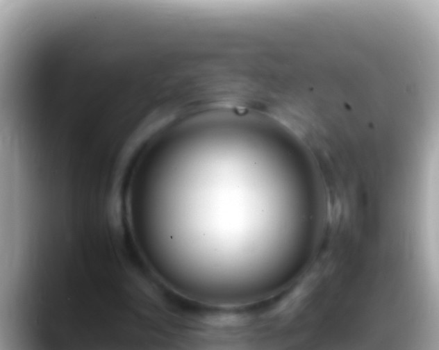 X0000088660198200706011246