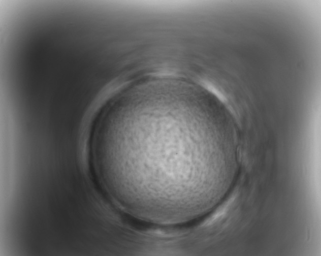 X0000088660199200706011246