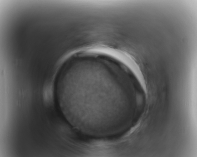 X0000088660200200706011246