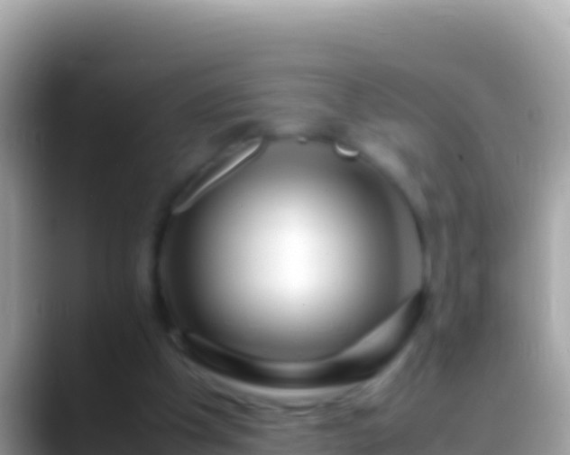 X0000088660201200706011246