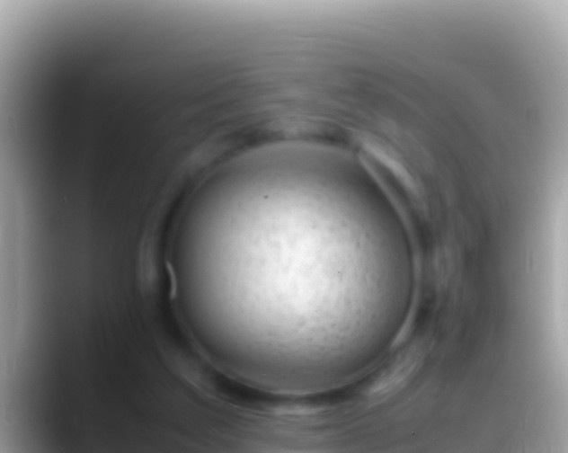 X0000088660203200706011246