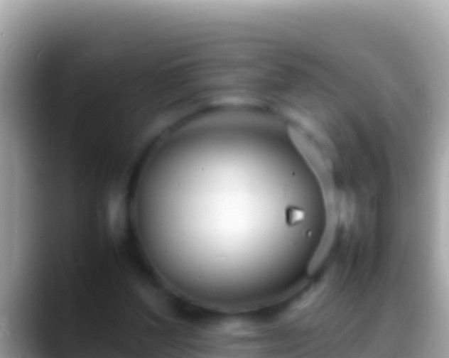 X0000088660204200706011246