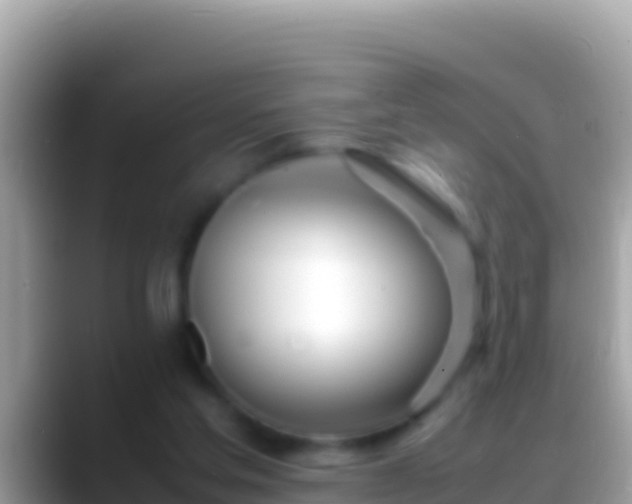 X0000088660205200706011246