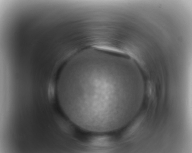 X0000088660206200706011246