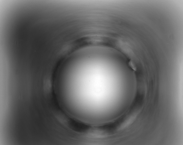 X0000088660207200706011246