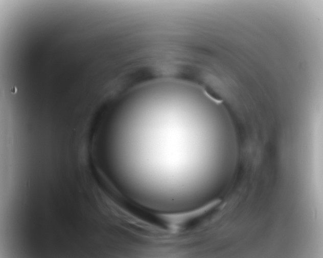 X0000088660209200706011246