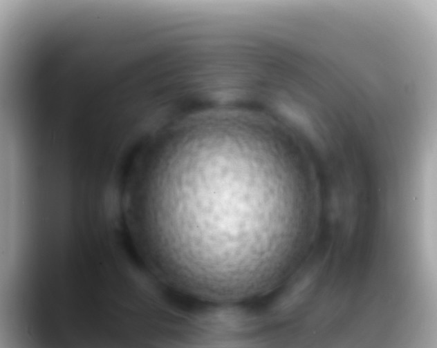 X0000088660210200706011246