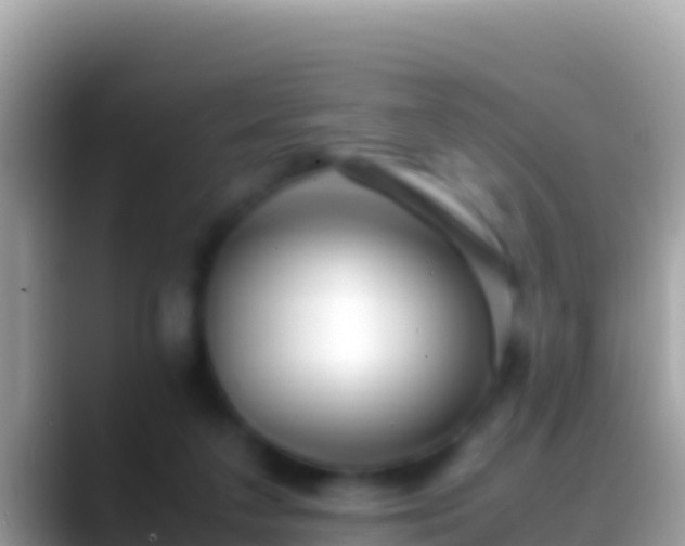 X0000088660211200706011246