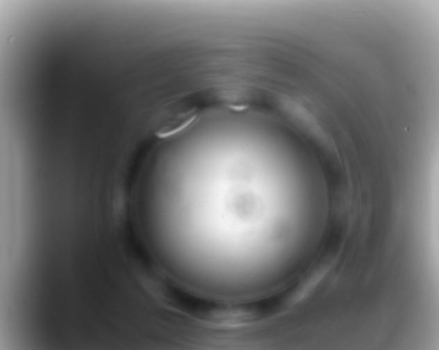 X0000088660213200706011245