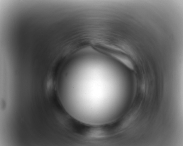 X0000088660214200706011245