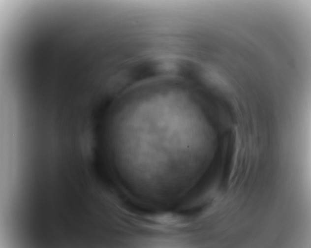 X0000088660223200706011245