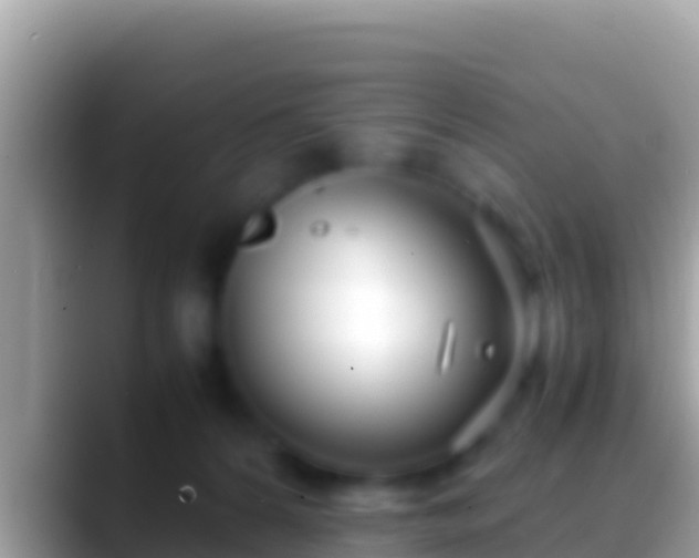 X0000088660224200706011245