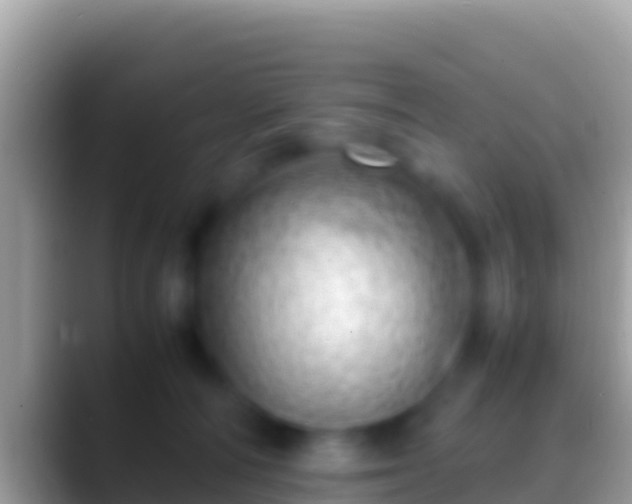 X0000088660226200706011245