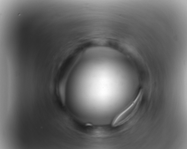 X0000088660229200706011245