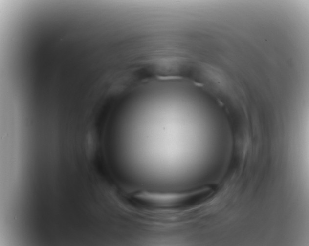 X0000088660231200706011245