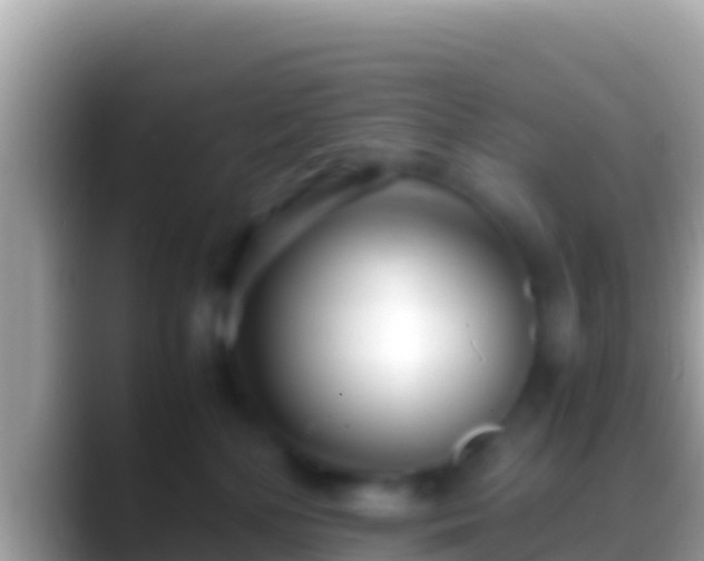 X0000088660232200706011245