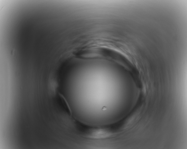 X0000088660235200706011245