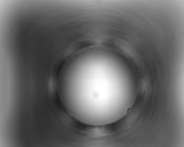 X0000088660236200706011245