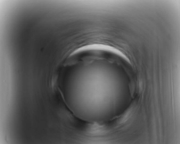 X0000088660239200706011245