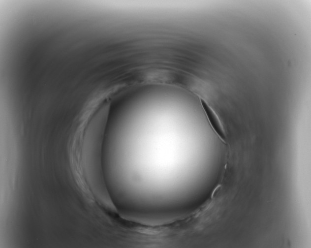 X0000088660241200706011245