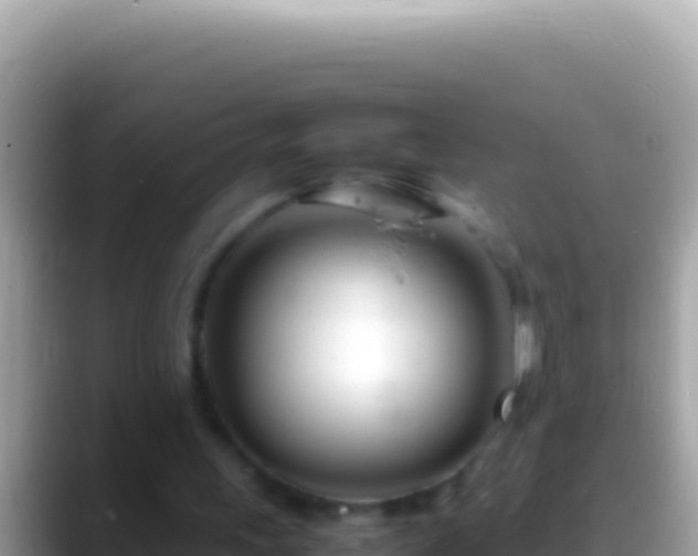 X0000088660243200706011245