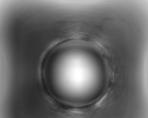 X0000088660244200706011245