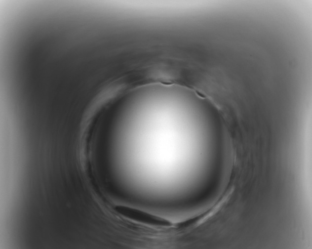 X0000088660245200706011245