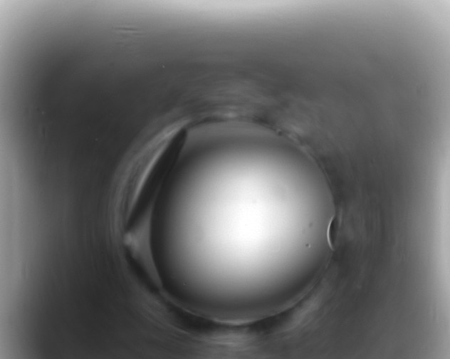 X0000088660247200706011245