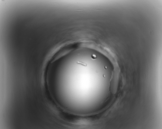 X0000088660248200706011245